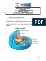 Biologia Temaviii 200319