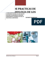 Guia de Pcas Micro Alimentos 2019