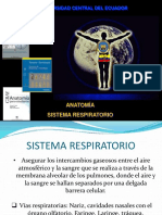 Anatomía Sistema Respiratorio