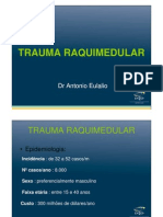 Trauma Raquimedular