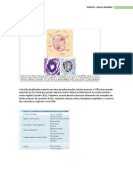 Histologia Da Mama