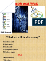 Ribonucleic Acid (RNA) : Adnan Bhanwadia