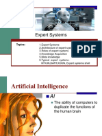 Expert Systems