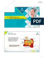 Aula 10 - Organelas - Retículo Endoplasmático, Ribossomos