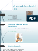 Articulación Del Cuello Del Pie y Pie