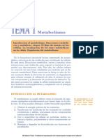 Ciclo de Krebs PDF