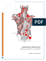 Trabajo Sindrome Miofacial