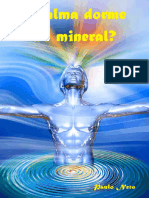 A Alma Dorme No Mineral-eBook