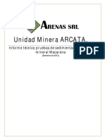 Arcata, Informe Pruebas de Sedimentacion Mineral MacarenaRelaves, 06-12-12 - Final-Usuario - PDF