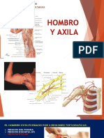 Hobro y Axila