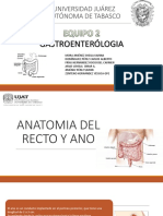 Anatomia Del Ano