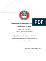 Berhan Abera PDF