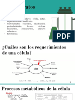 Carbohidatos Lípidos 2018-I PDF