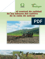 Control Calidad de Labotres Agricolas en Caña