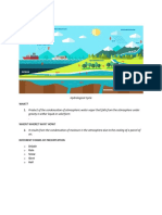 Precipitaton: Hydrological Cycle