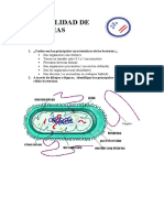 Especialidad de Bacterias