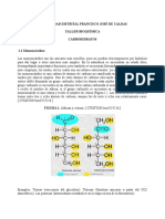 Taller de Carbohidratos