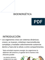 Bioquímica - BIOENERGÉTICA