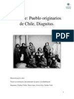 Informe de Los Diaguitas