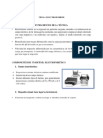 ELECTROFORESIS Resumen