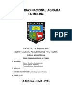 Informe 1 Agrotecnia