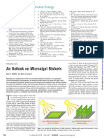 An Outlook On Microalgal Biofuels PDF