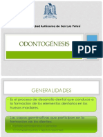 Odontogenesis