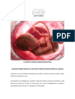 Advanced Emdr Prenatal Suicidio