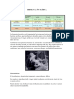 Fermentación Acética