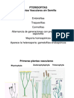 Pteridofitas