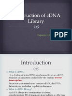 Construction of cDNA Library