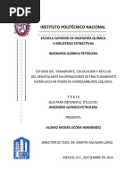 Estudio Del Transporte, Colocación y Reflujo Del Apuntalante en Operaciones de Fracturamiento Hidráulico en Pozos de Hidrocarbur