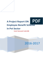 A Project Report On Employee Benefit Scheme in PVT Sector: Ctrlsoft