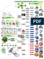 Transmission de Puissance Mécanique 5-1 PDF