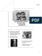 Sesión 1 Envejecimiento Normal - Evaluación NPS en El Adulto Mayor