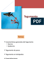 2 Tegumento PDF