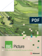 The Big Pircture PDF