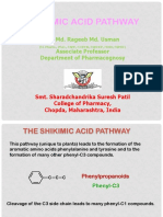 Shikimic Acid Pathway: Dr. Md. Rageeb Md. Usman Associate Professor Department of Pharmacognosy