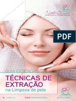 Ebook Técnicas de Extração PDF