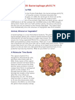 Bacteriophage Phix174