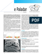 Fisura Paladar 1