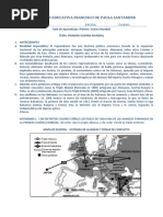 Talleres de Sociales 9º