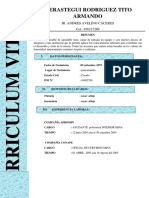 Curriculum Vitae TITO VERASTEGUI RODRIGUEZ