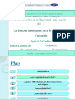 Soutenance de Stage D'initiation Effectué Au Sein de