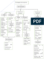 Tipos de Transporte