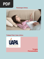 Trabajo Final Terapia Psicoanalitica