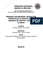 Productos Forestales A Partir de La Madera de Matisia Cordata - Final