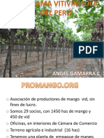 17h00 - Parorama Vivicinícola Do Perú - Angel Gamara - Perú PDF