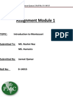 Assignment Module 1s