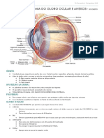 RESUMO Oftalmo